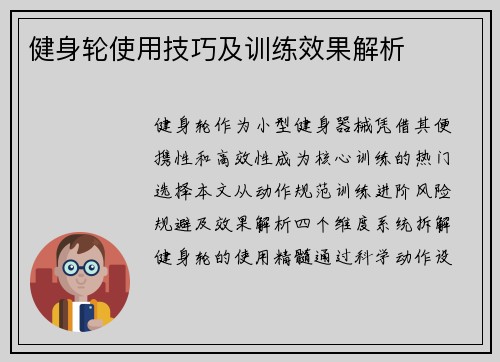 健身轮使用技巧及训练效果解析